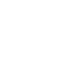 icon-skill