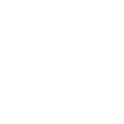 icon-skill