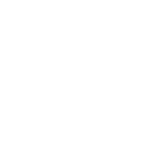 icon-skill