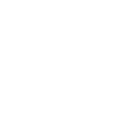 icon-skill