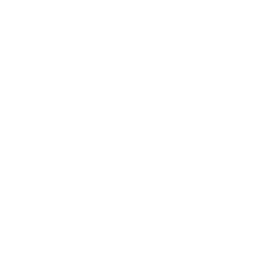 icon-skill